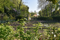 Cliquez sur la vignette pour l'agrandir